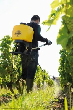 Berthoud Vermorel 2000 PRO Comfort Rugspuit 16 Liter -LuxForm Winkel 3176241020224 2