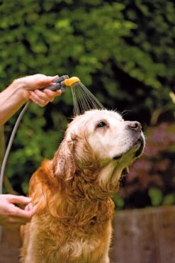 Hozelock Drukspuit 4 In 1 Tuindouche -LuxForm Winkel 5010646051361 3