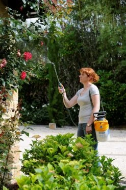 Voorkant -LuxForm Winkel 5010646062671 1