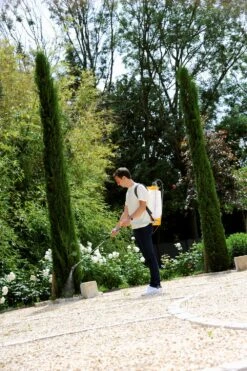 Hozelock Rugspuit Pulsar Plus Comfort 12 Liter -LuxForm Winkel 5010646062749 3