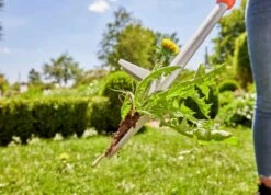 Gardena Onkruidsteker Lang -LuxForm Winkel Gardena onkruisteker lang 9