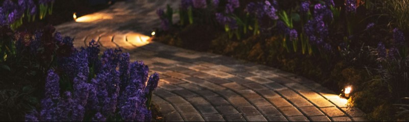 Voorkant -LuxForm Winkel banner370