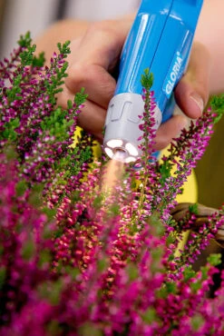 Gloria AutoPump Mini - 1 Liter Fijnsproeier NBR + LED Verlichting 13 Gloria AutoPump Mini - 1 Liter Fijnsproeier NBR + LED Verlichting -LuxForm Winkel csm AutoPump Mini Detail 1 5f2afd1455