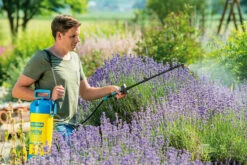 Gloria Drukspuit Hobby 5 Liter - Exclusiv -LuxForm Winkel csm hobby exklusiv Live 1 f54f7a9c8c