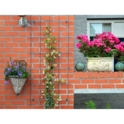 Nature - Metalen Klimrek Geplastificeerd Groen H145x72,5cm -LuxForm Winkel nature metalen klimrek geplastificeerd groen h145x72 5cm 3 2