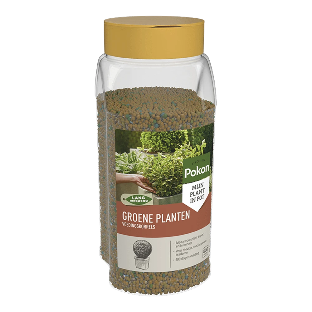 Pokon Groene Planten Voedingskorrels 800g - Kamerplanten Voeding 3 Pokon Groene Planten Voedingskorrels 800g - Kamerplanten Voeding