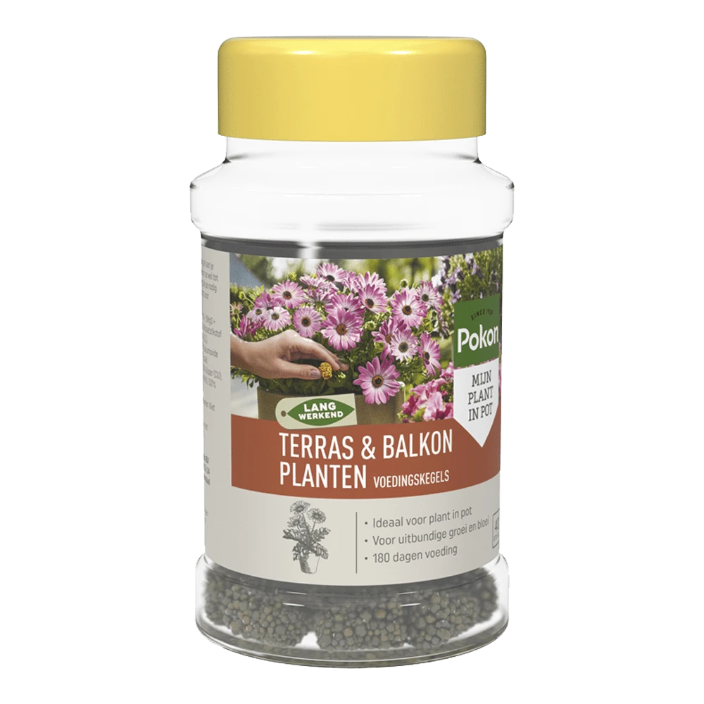Pokon Terras & Balkon Planten Voedingskegels 40 Stuks - Tuinplanten Voeding 3 Pokon Terras & Balkon Planten Voedingskegels 40 Stuks - Tuinplanten Voeding